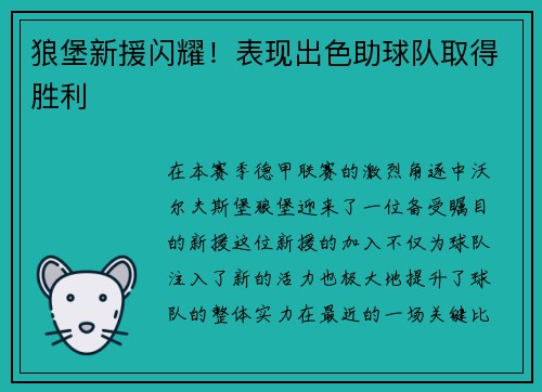 狼堡新援闪耀！表现出色助球队取得胜利